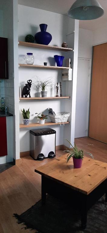 un salon avec une table et des étagères avec des plantes dans l'établissement EMERAUDE, à Nantes