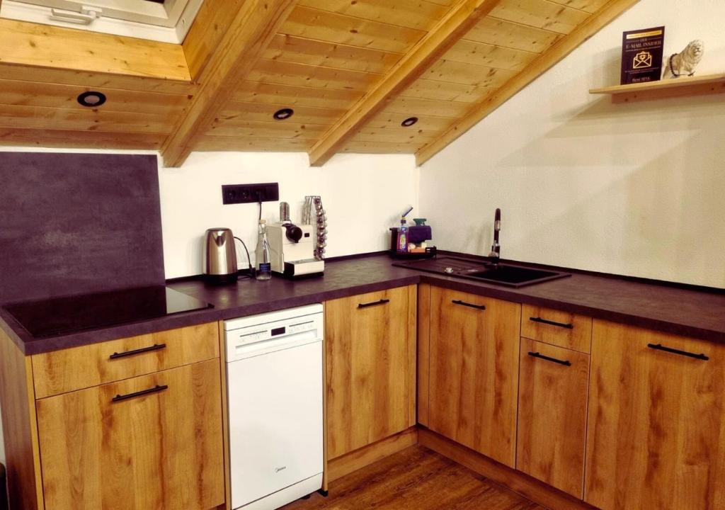 Kuchyň nebo kuchyňský kout v ubytování Game Changer Hof Appartment