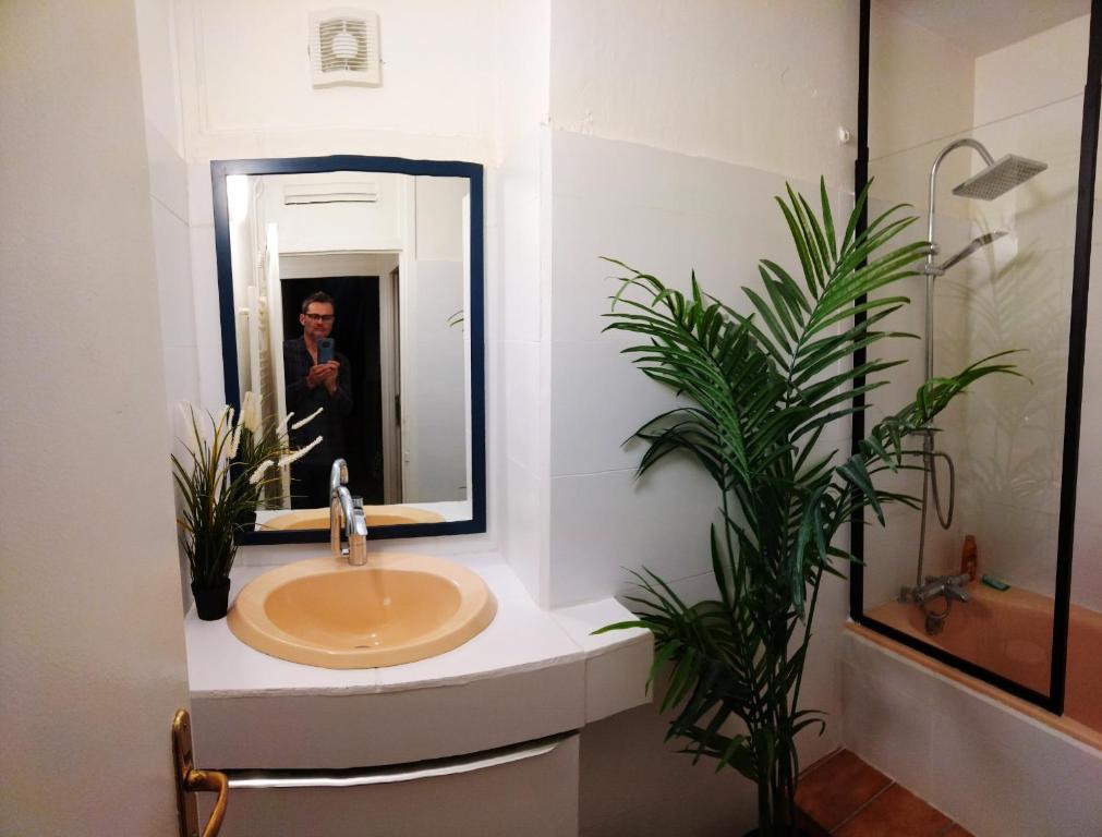 Um banheiro em R&eacute;sidence du parc des Tilleuls de Lyon 82 m2 Pkg free