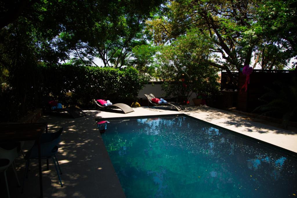 een zwembad in een tuin met bomen bij Milner Fashion House in Pretoria