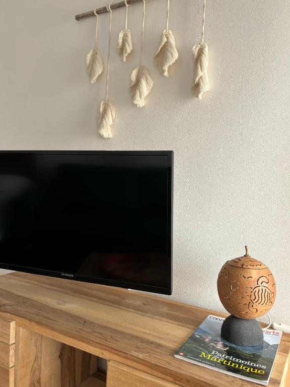 TV a/nebo společenská místnost v ubytování Bohème créole