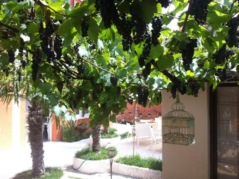 A garden outside Hotel La Pergola di Venezia
