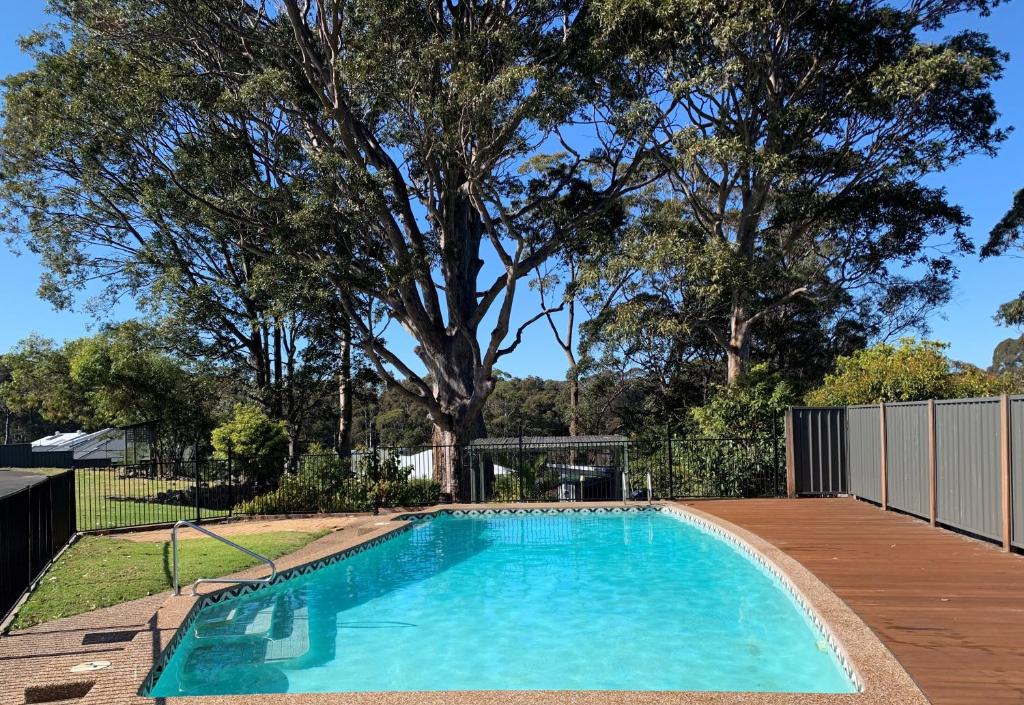una piscina en un patio con un árbol en The Tree Motel, en Narooma