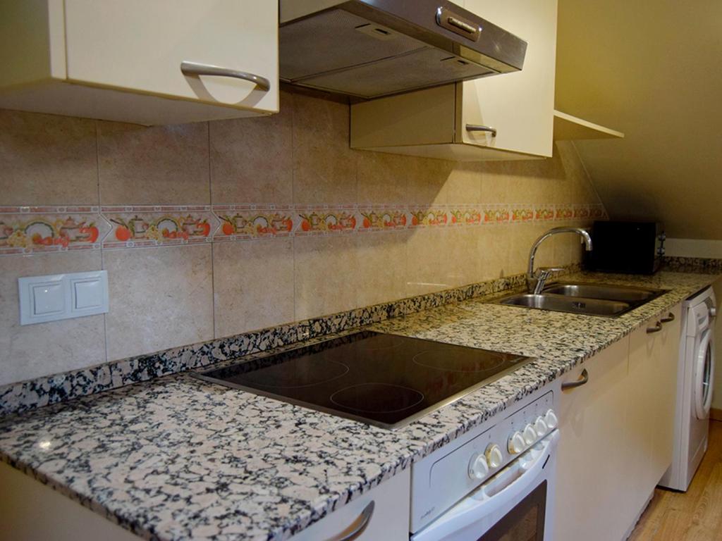 Kuchyň nebo kuchyňský kout v ubytování Apartamentos Pantebre 3000