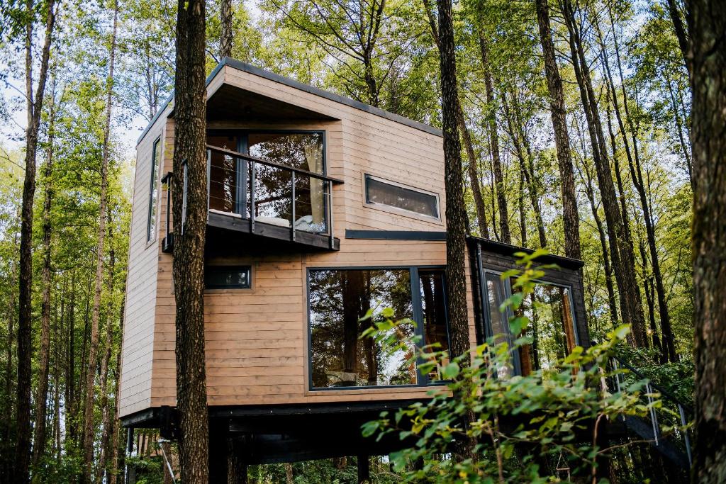 Dziki Las - domki na drzewach - One-Bedroom Chalet