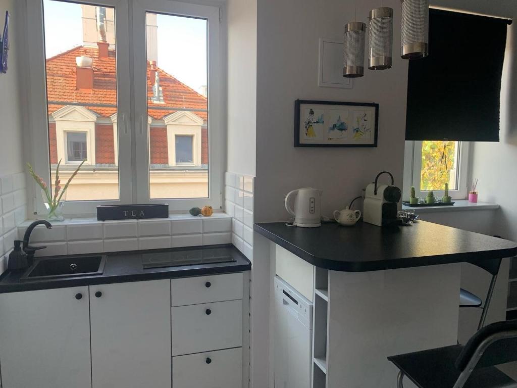 ワルシャワにあるJoli Bord Apartmentの白いキャビネット、シンク、窓付きのキッチン