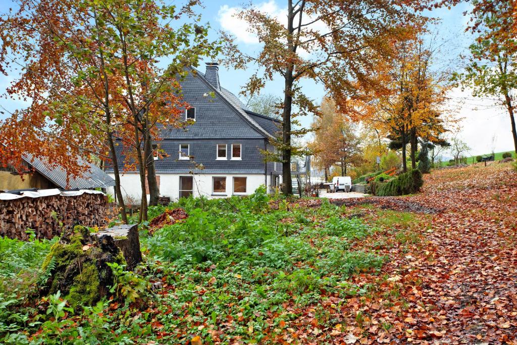 a house on a hill with leaves on the ground at Richters Hof auf der Hiege in Schmallenberg