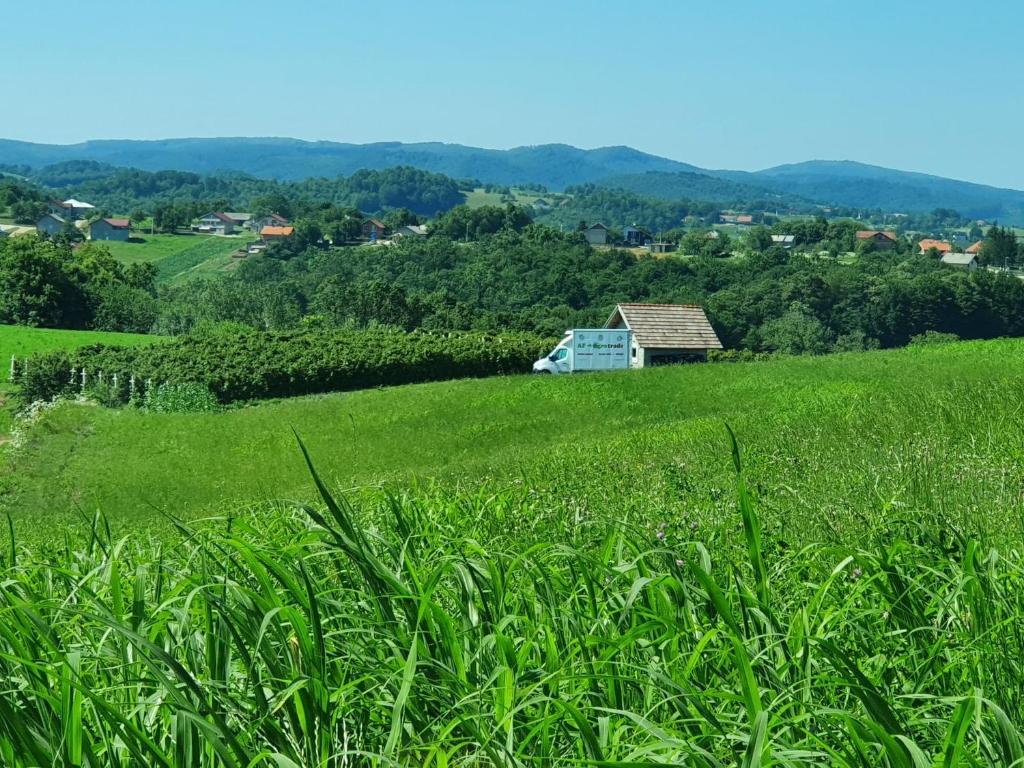 een veld van groen gras met een huis op de achtergrond bij Vikendica za odmor i dušu in Velika Kladuša