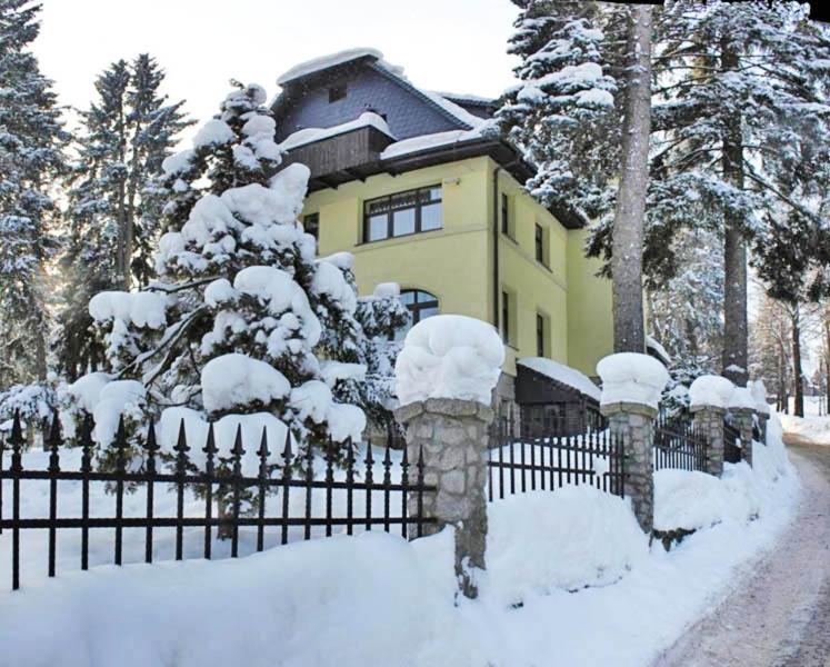 Pokoje ze śniadaniami Słoneczna Róża Szklarska Poręba зимой