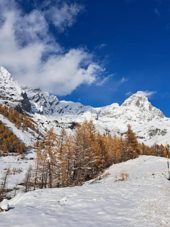 a snow covered mountain with trees in the foreground at Cervino - VRetreats in Breuil-Cervinia