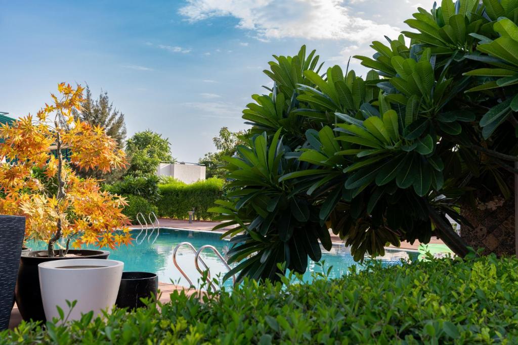 Bazén v ubytování Vesta Avtar Resort Pushkar nebo v jeho okolí