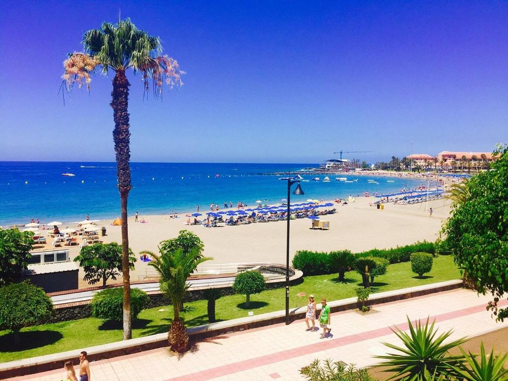 a view of a beach with a palm tree and the ocean at Casa Royal Los Cristianos Center in Los Cristianos