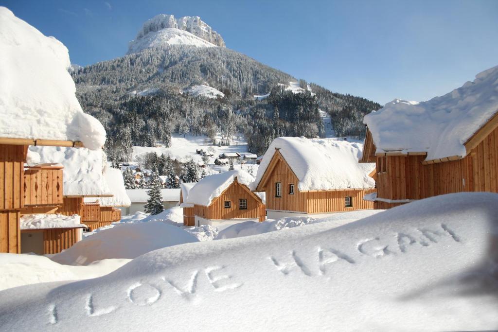 eine schneebedeckte Stadt mit einem Berg im Hintergrund in der Unterkunft AlpenParks Hagan Lodge Altaussee in Altaussee