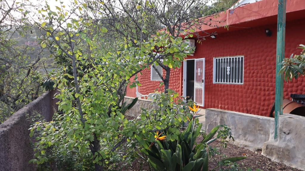 a red house with a tree in front of it at Casa rural en San Mateo in Las Palmas de Gran Canaria