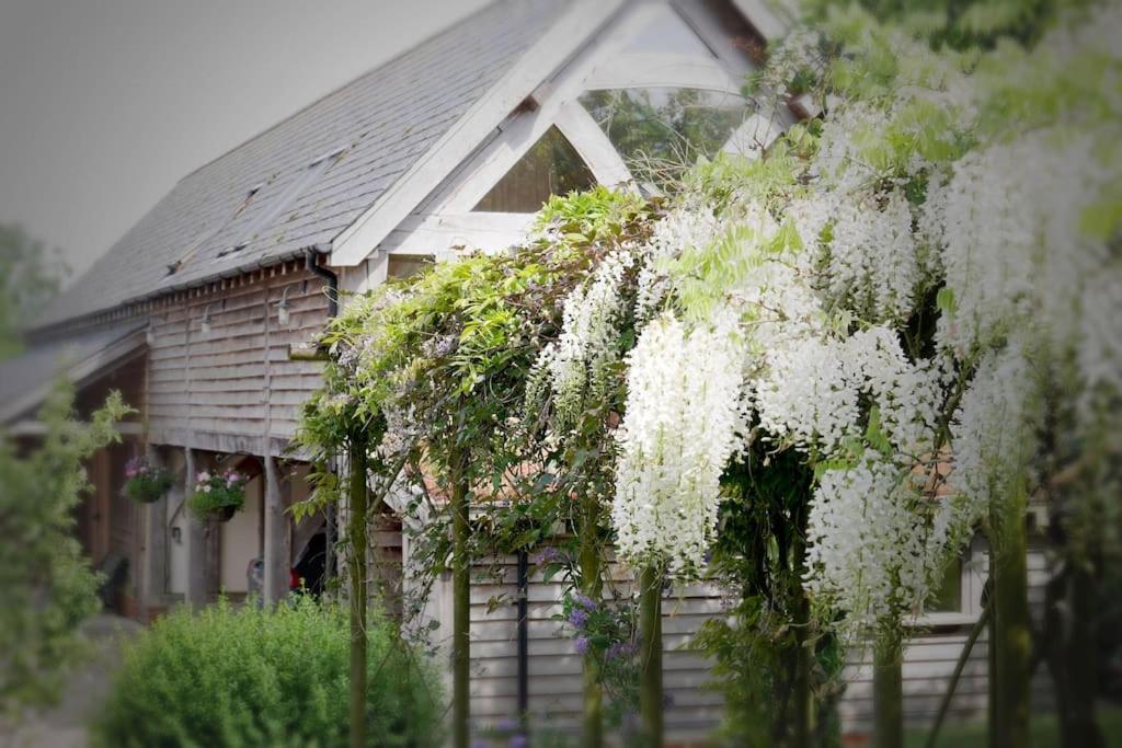 ein Haus mit weißen Blumen, die von einem Zaun hängen in der Unterkunft Acorn Barn in Crediton