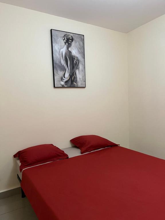 a bedroom with a red bed with a picture on the wall at Superbe appartement T3 à Pamandzi in Pamandzi