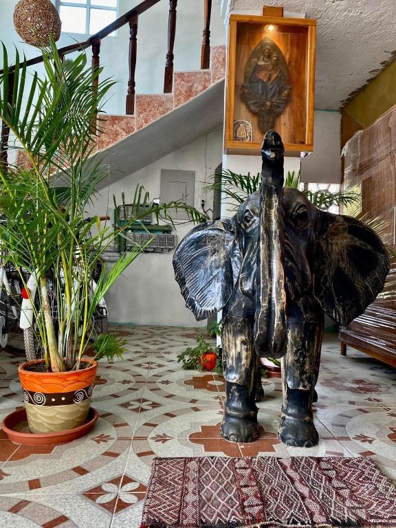 Fotografie z fotogalerie ubytování Casa Gajah Hotel Cuyo v destinaci El Cuyo