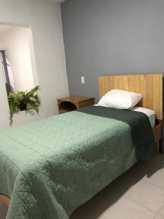 a bedroom with a bed with a green comforter at Casa Tanah in Guadalajara