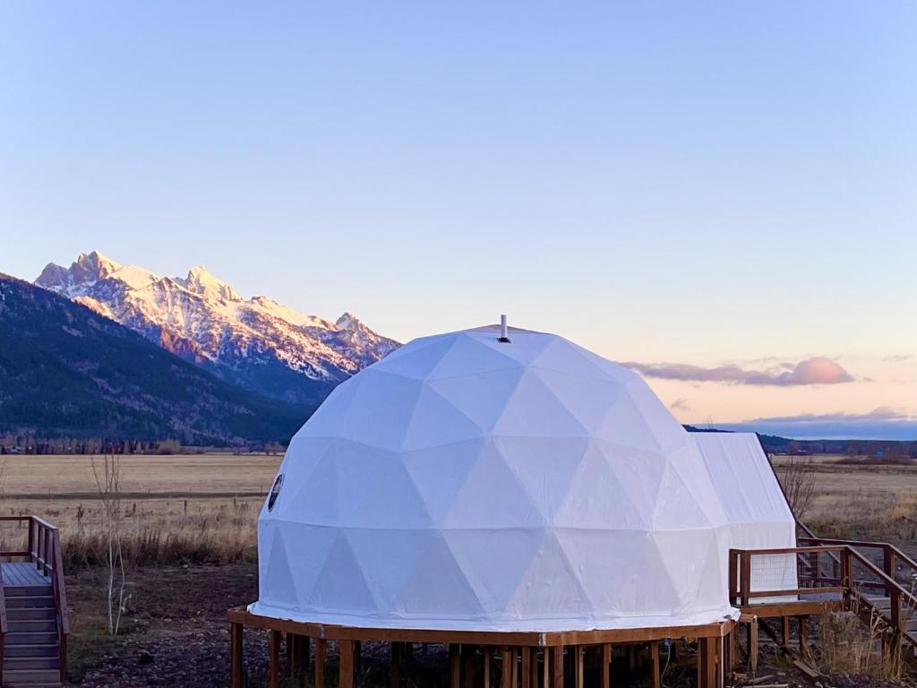 Příroda nedaleko luxury tent