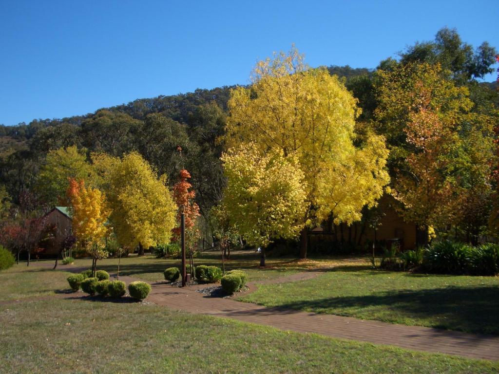 un parque con árboles y una casa con una montaña en Willowlake Cottages, en Howqua