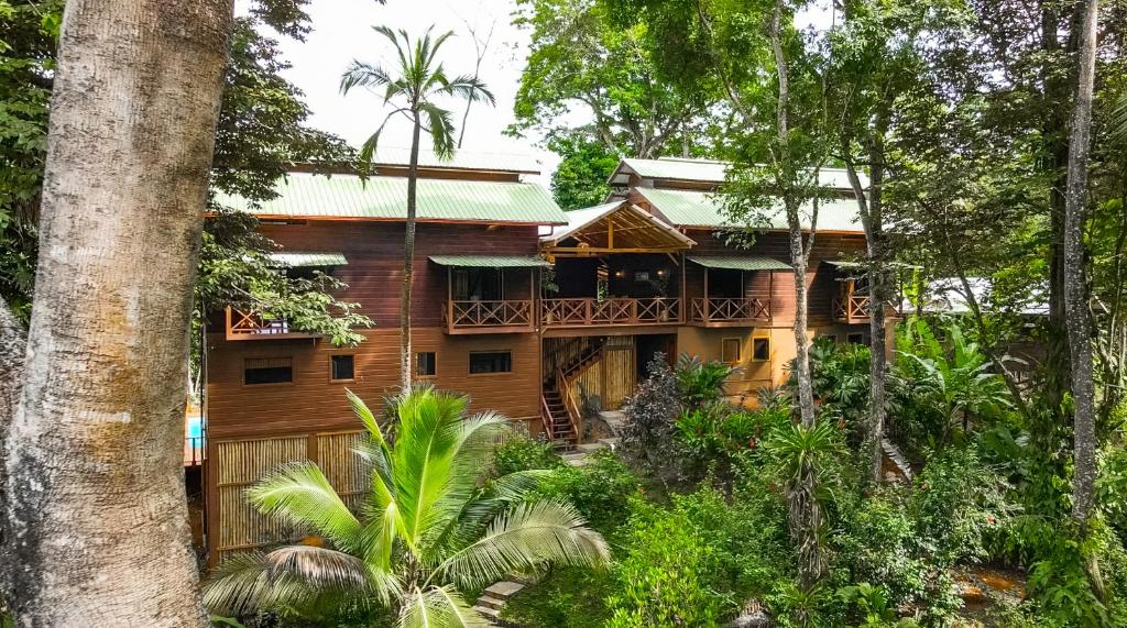 uma casa na floresta com uma varanda em The Lodge at Punta Rica- Hilltop Eco-Lodge with Views & Pool em Bastimentos