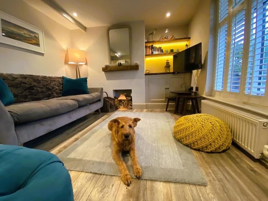 un perro marrón sentado en una sala de estar en Stunning Coastal Cottage with free parking - easy stroll to town & beach, en Aldeburgh