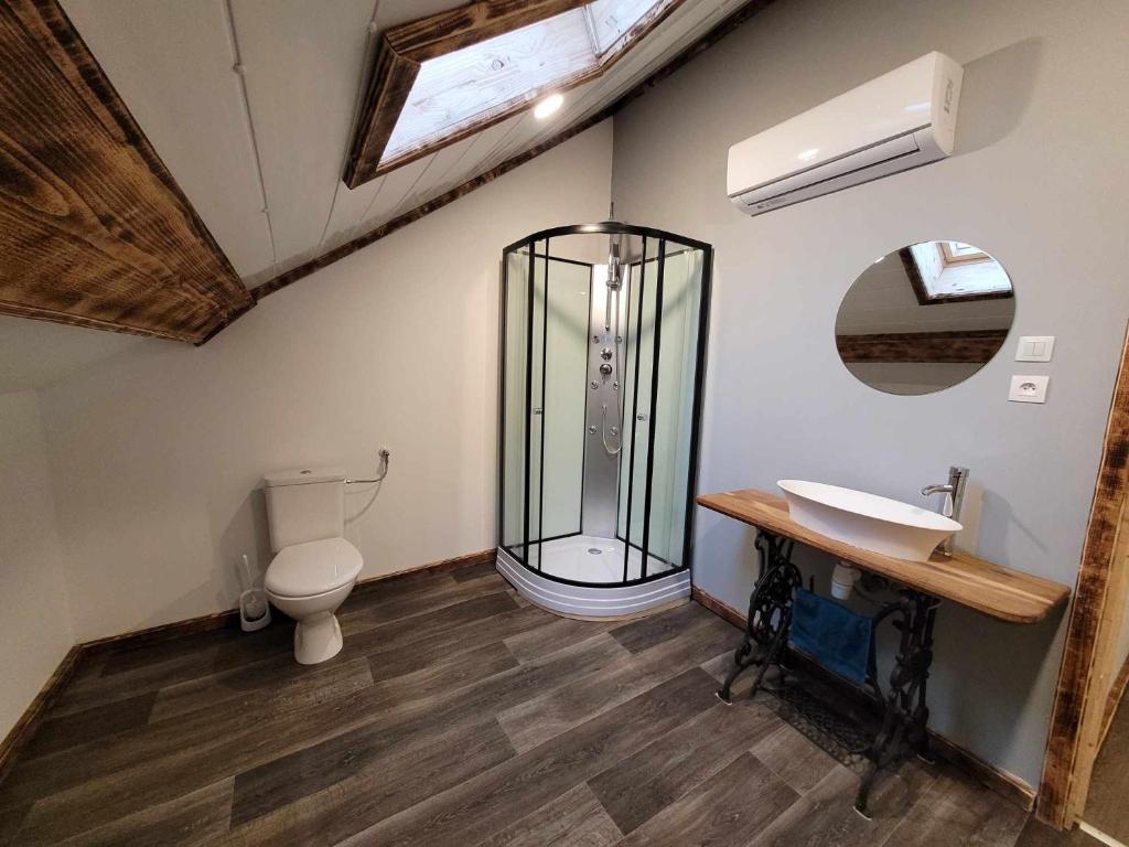 a bathroom with a shower and a toilet and a sink at Gîte de la Ferme de la Comté in Le Thillot