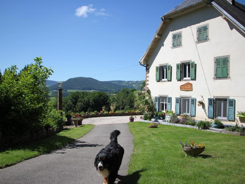 Ein schwarzer Hund steht vor einem Haus. in der Unterkunft Gîte Orbey, 2 pièces, 2 personnes - FR-1-744-25 in Orbey