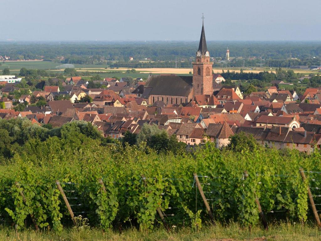 Gîte charmant au calme, 2 personnes, proche vignobles et châteaux, animaux acceptés, terrasse jardin - FR-1-744-33 – photo 11