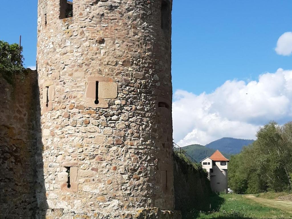 Gîte charmant au calme, 2 personnes, proche vignobles et châteaux, animaux acceptés, terrasse jardin - FR-1-744-33 – photo 33