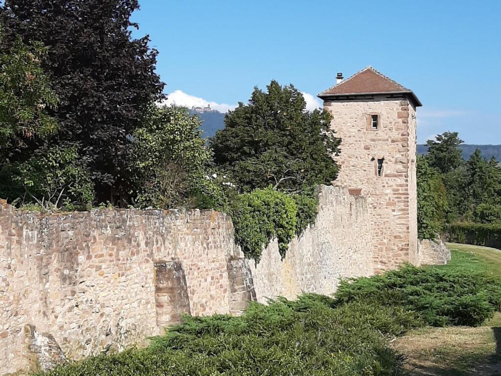 Gîte charmant au calme, 2 personnes, proche vignobles et châteaux, animaux acceptés, terrasse jardin - FR-1-744-33 – photo 35