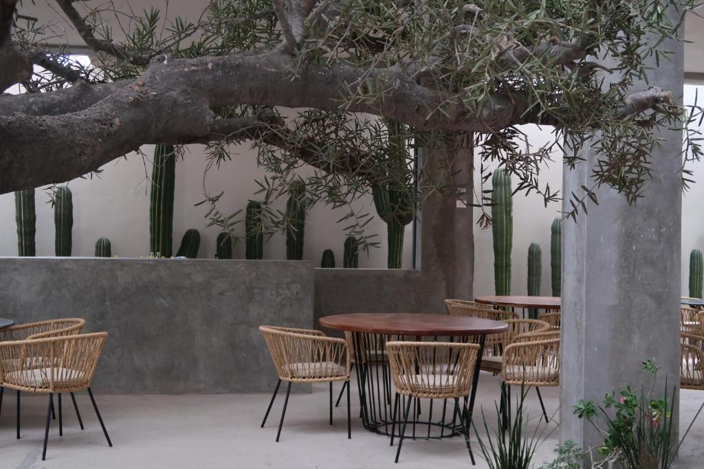 un patio con mesas y sillas bajo un árbol en Ventonorte, en La Ventana
