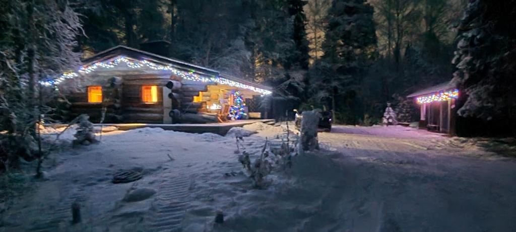 una cabaña de madera cubierta de luces en la nieve por la noche en Pahtajan Maja, en Rovaniemi