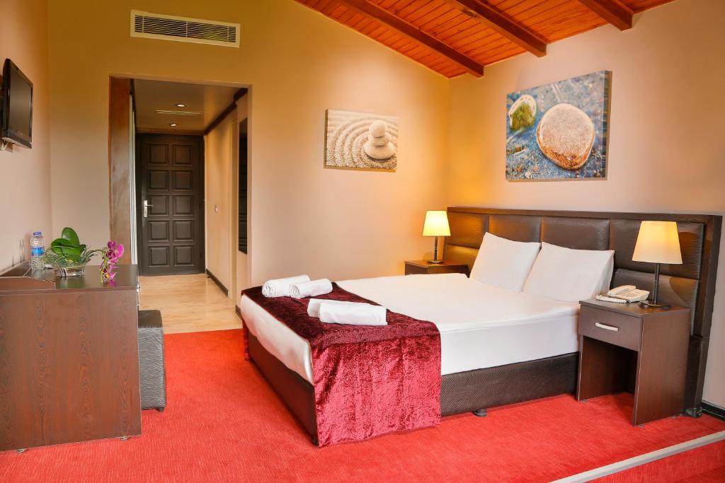 İstanbul Airport Durusu Club Hotel - 带花园的双人间