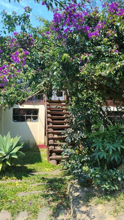 un árbol con flores púrpuras delante de una casa en Recanto da minha flor - Praia da Pinheira en Palhoça