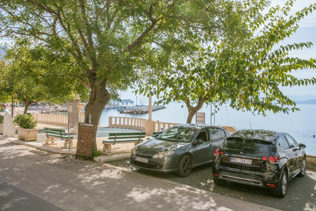 Príroda v okolí apartmánu