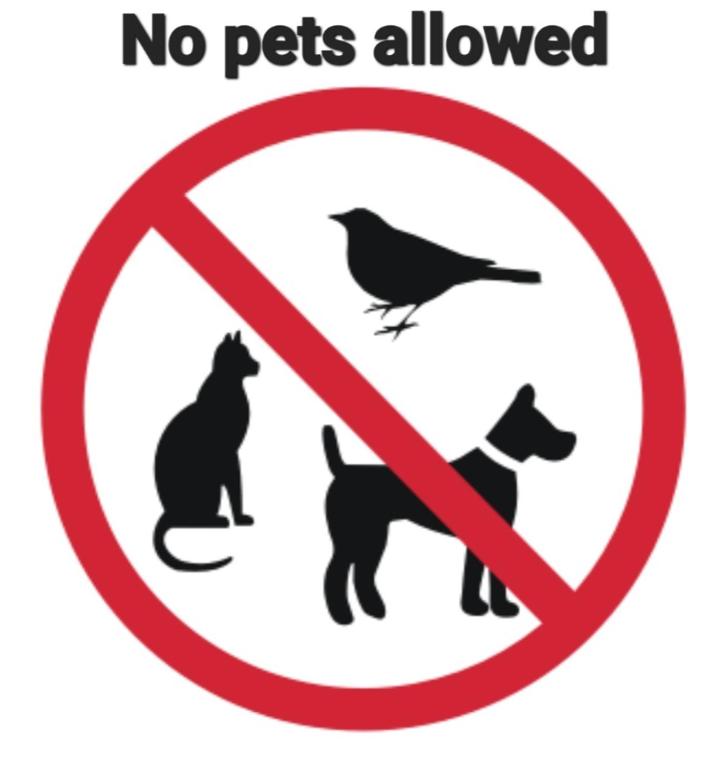 Studio V3st & Parking - 13