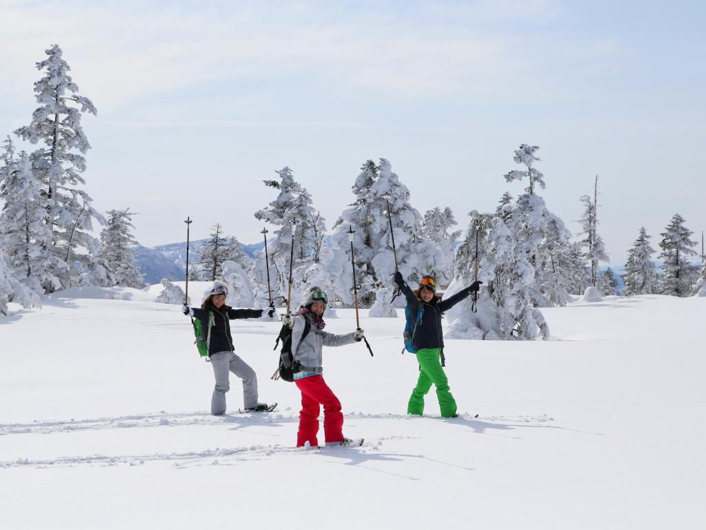 Sachinoyu Hotel Shiga Kogen v zimě