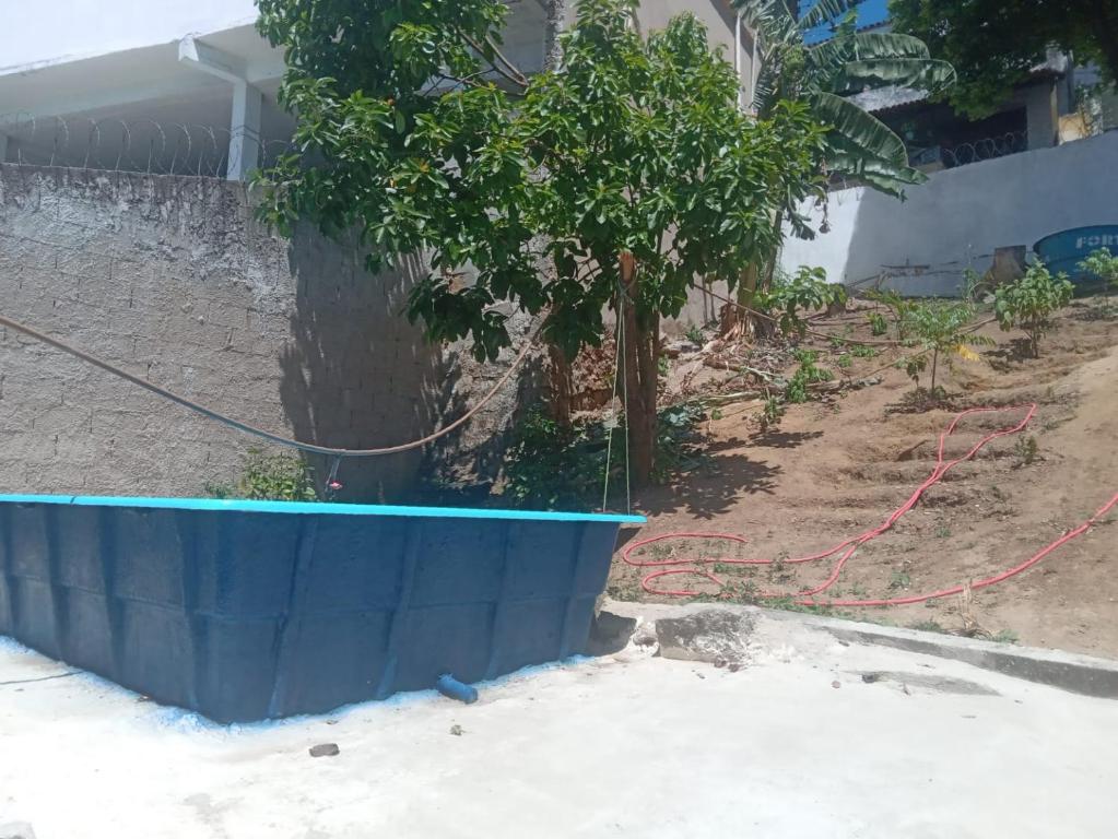 a tree in a blue planter in front of a house at Quarto com Duas Camas de casal in Vitória