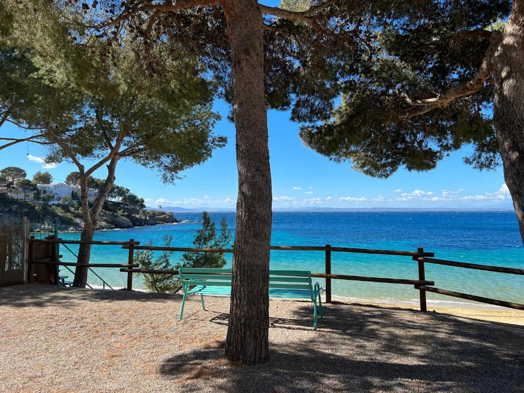 un banco sentado junto a un árbol junto al océano en Almadrava Paradise, en Roses