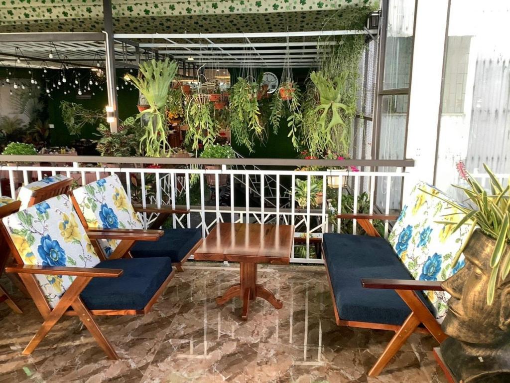 Anh Tuấn Hotel & Coffee - Pleiku, Gia Lai في بلاي كو: فناء به كراسي ونباتات على سياج
