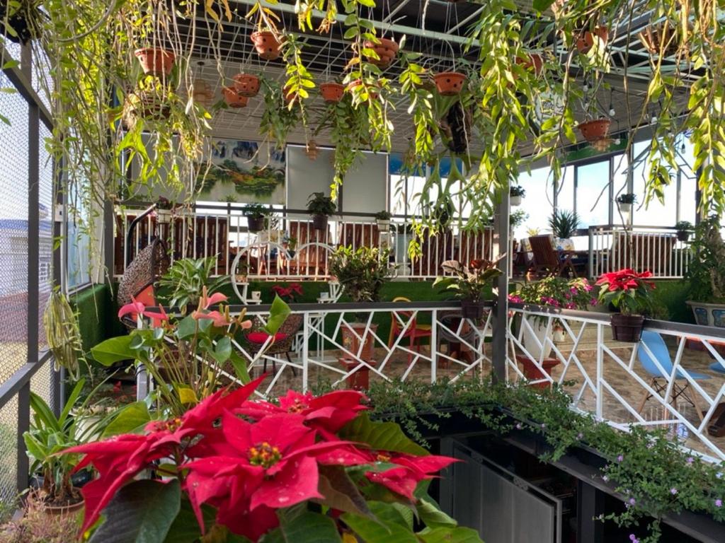 Ảnh trong thư viện ảnh của Anh Tuấn Hotel & Coffee - Pleiku, Gia Lai ở Pleiku