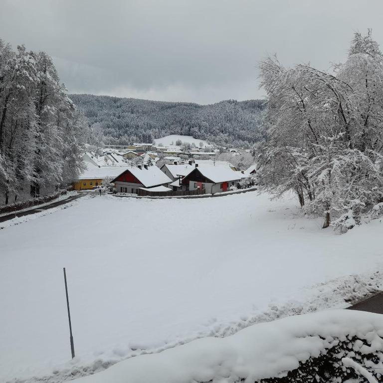 Haus am Schloss v zimě