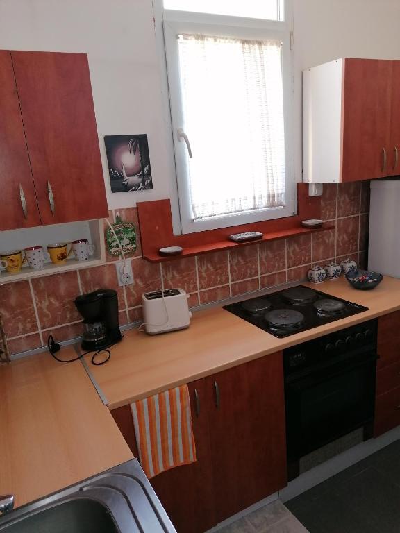 Kuchyň nebo kuchyňský kout v ubytování Apartman Centar
