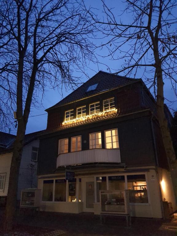 バート・ハルツブルクにあるFerienwohnungen Baumhaus und Nestの夜の灯りを持つ家