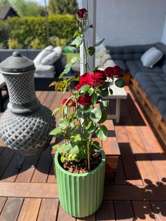 Zahrada ubytování City Aarhus