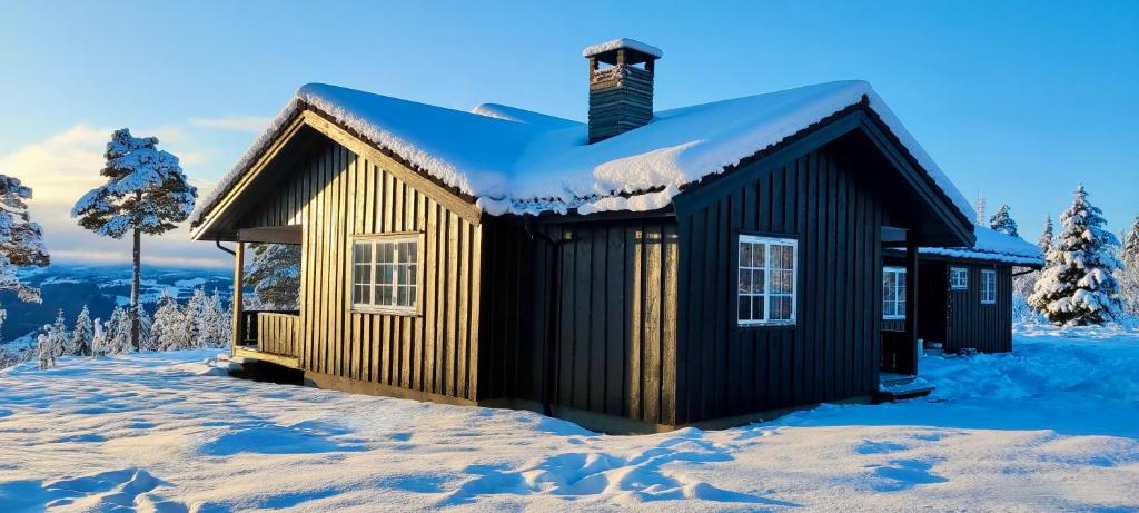 利勒哈默尔Nordgards Hagen的雪地中的一个小小屋