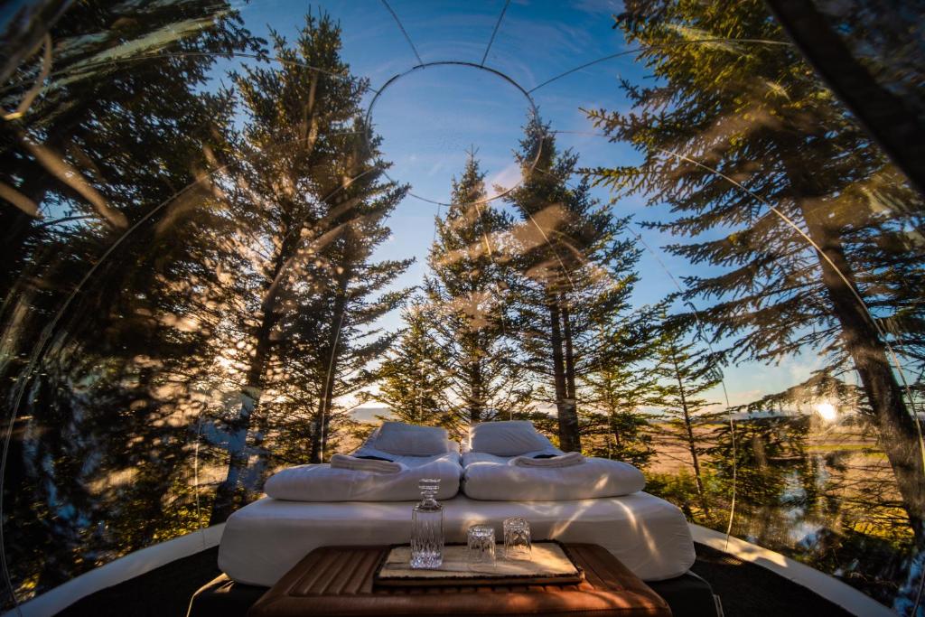 a group of beds in a room with trees at Buubble Hotel - Hrosshagi in Selfoss