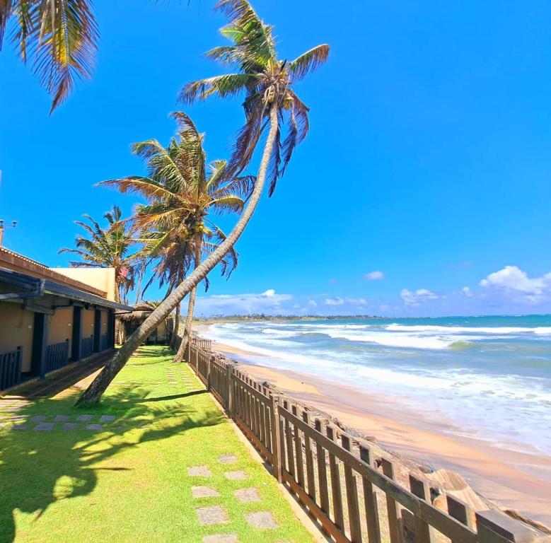 a palm tree leaning over a fence on the beach at Hakuna Matara Beach Bungalows in Matara