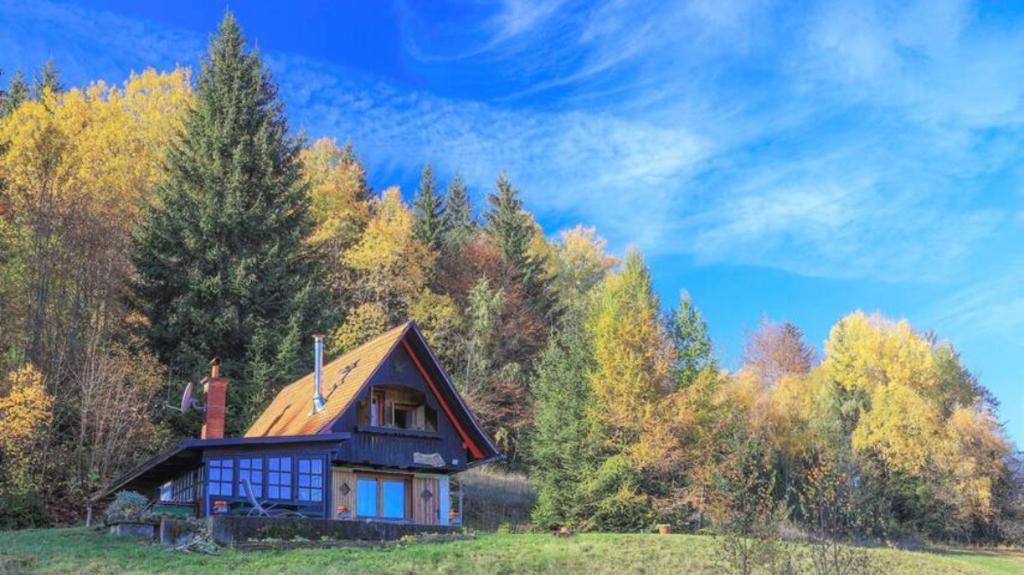 una casa al lado de una colina con árboles en Pravlca (Fairytale Cottage) en Zgornje Gorje
